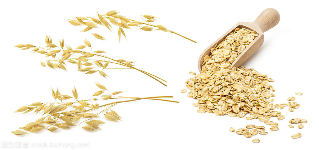 麥片粥與棉花種植 一場跨越時空的農(nóng)業(yè)對話