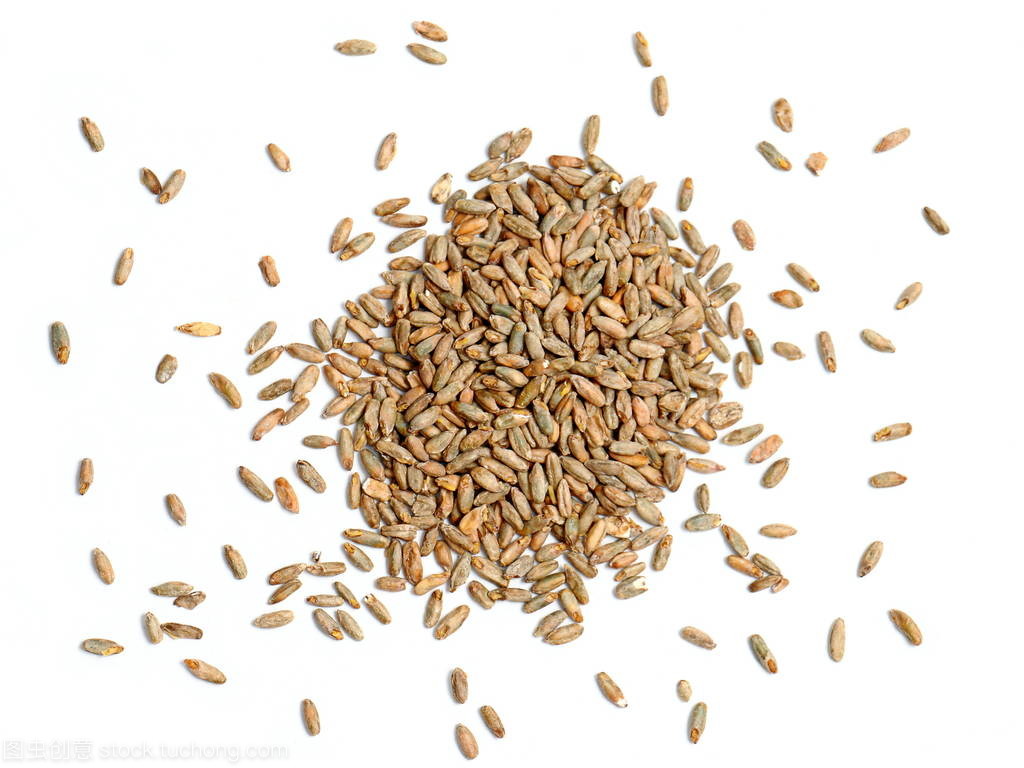 黑麥谷物 白色背景下的營養與藝術